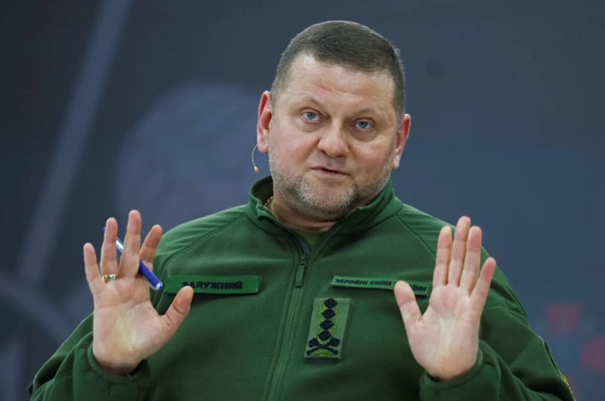 Валерий Залужный в 2025 Валерий Залужный в 2025