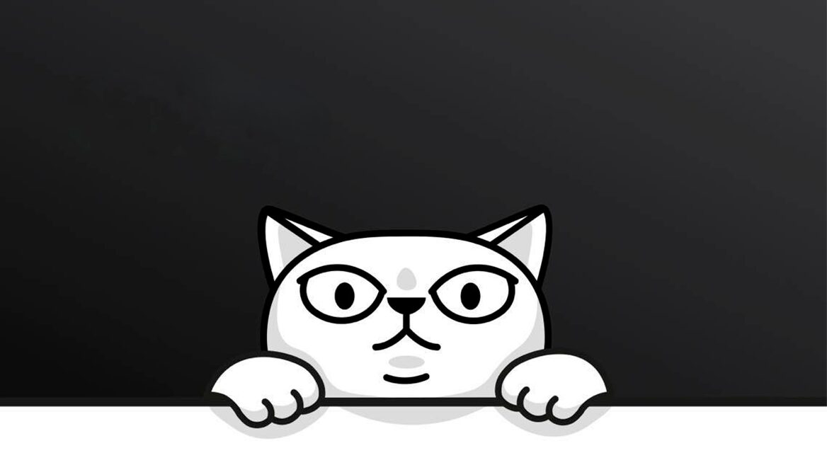 «Жоден банк у світі не врятував би ці гроші». Гороховський розповів, як шахраї викрали понад 6 млн грн із рахунку monobank у блогерки Ксюші Манекен