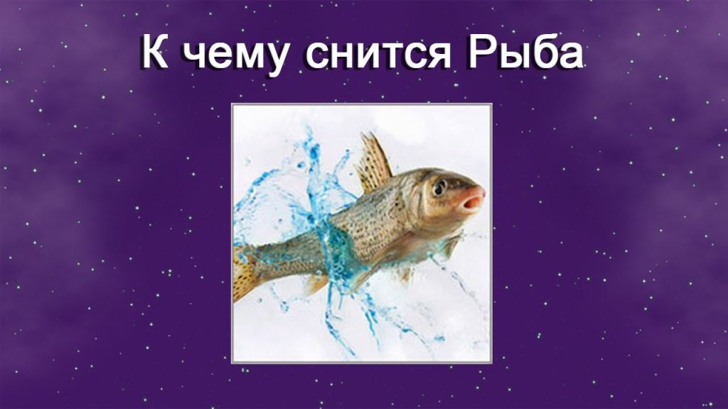 К Чему Снится Рыба: Значение и Толкования в Сновидениях