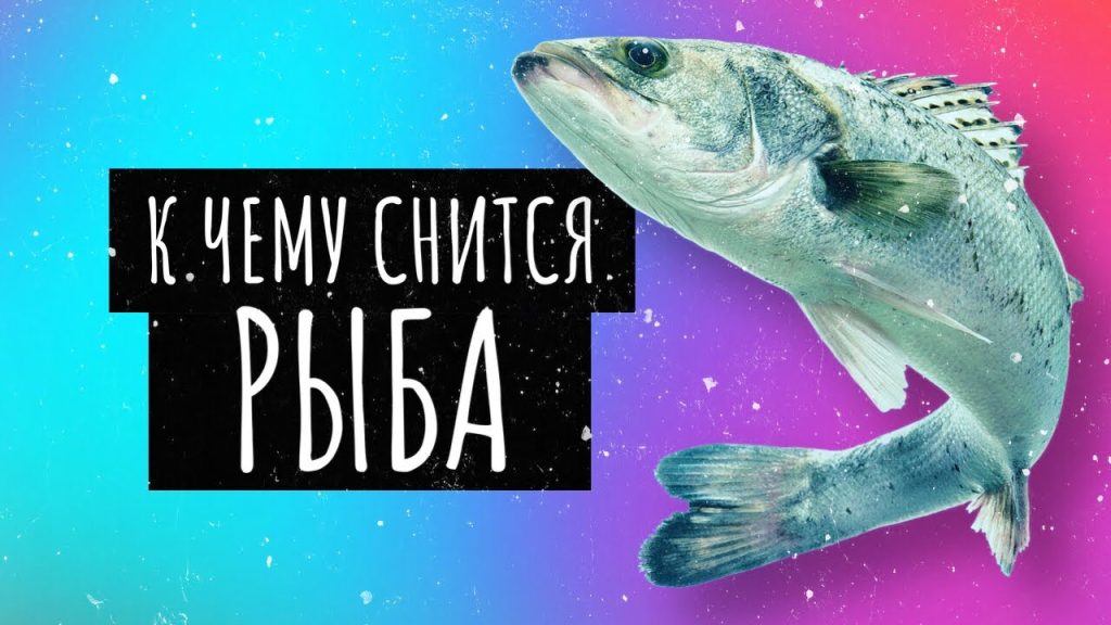 К Чему Снится Рыба: Значение и Толкования в Сновидениях