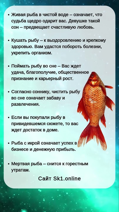 К Чему Снится Рыба: Значение и Толкования в Сновидениях