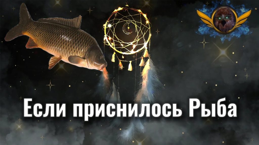 К Чему Снится Рыба: Значение и Толкования в Сновидениях