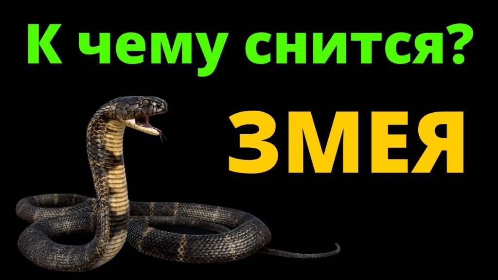 К Чему Снится Змея: Толкование и Значение Сновидения