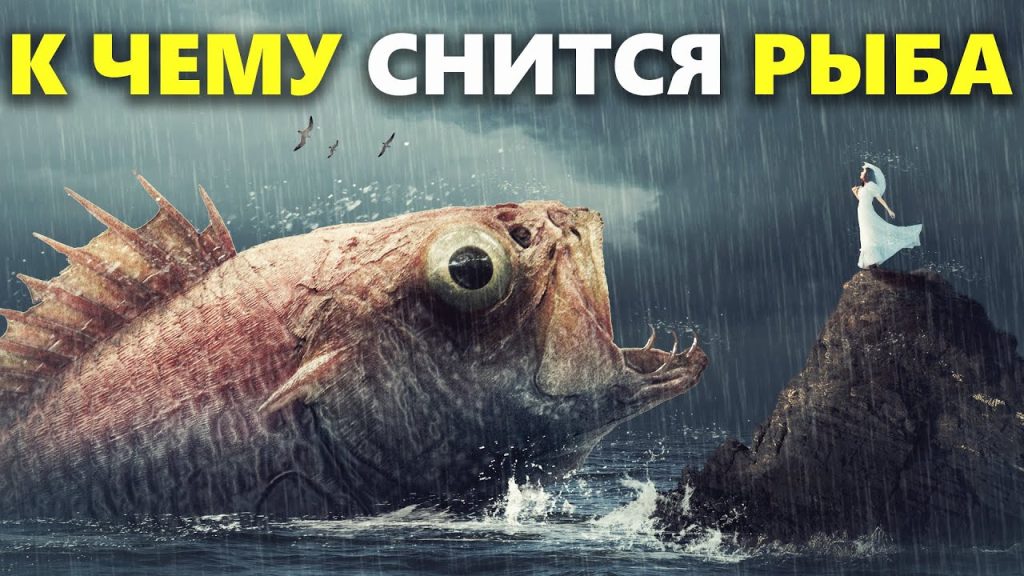 К Чему Снится Рыба: Значение и Толкования в Сновидениях